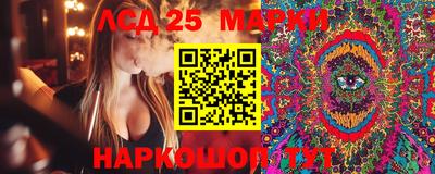 мяу мяу мука Малоярославец