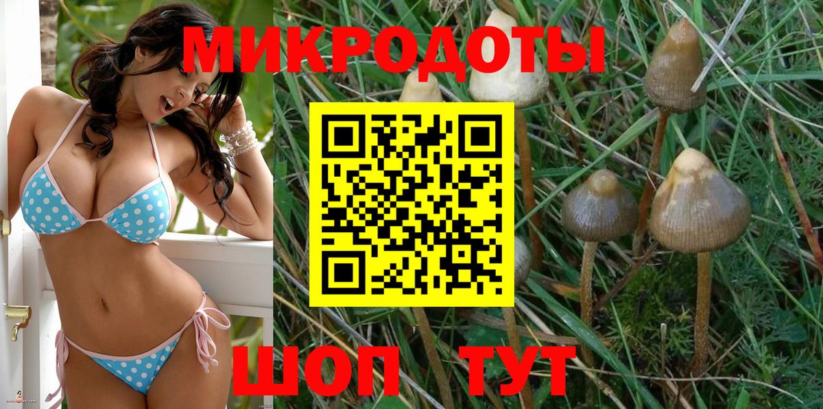 Псилоцибиновые грибы прущие грибы  Вход с VPN  Гуково 